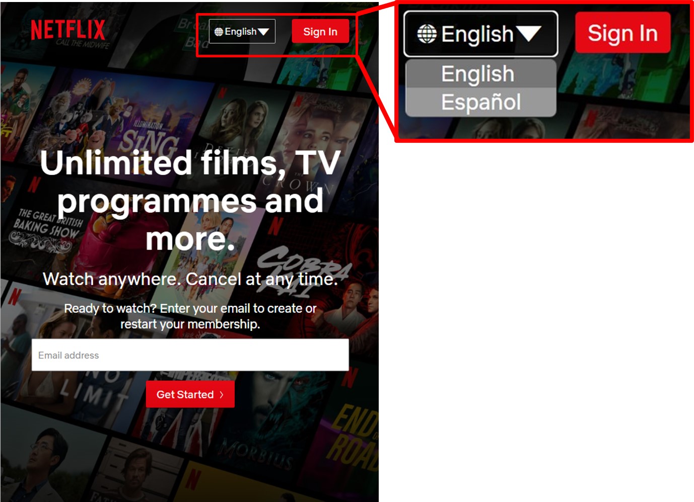 netflix from the US