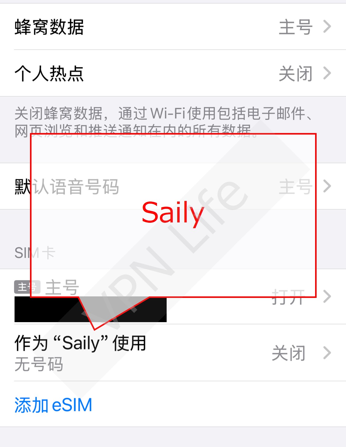 How to use Saily
