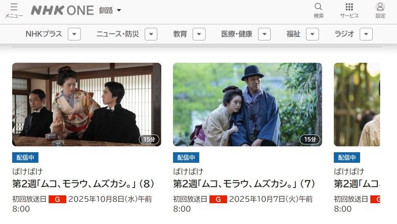 VPNを利用することで海外からNHK ONEを視聴可能に