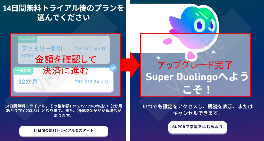 Super Duolingoを利用する手順